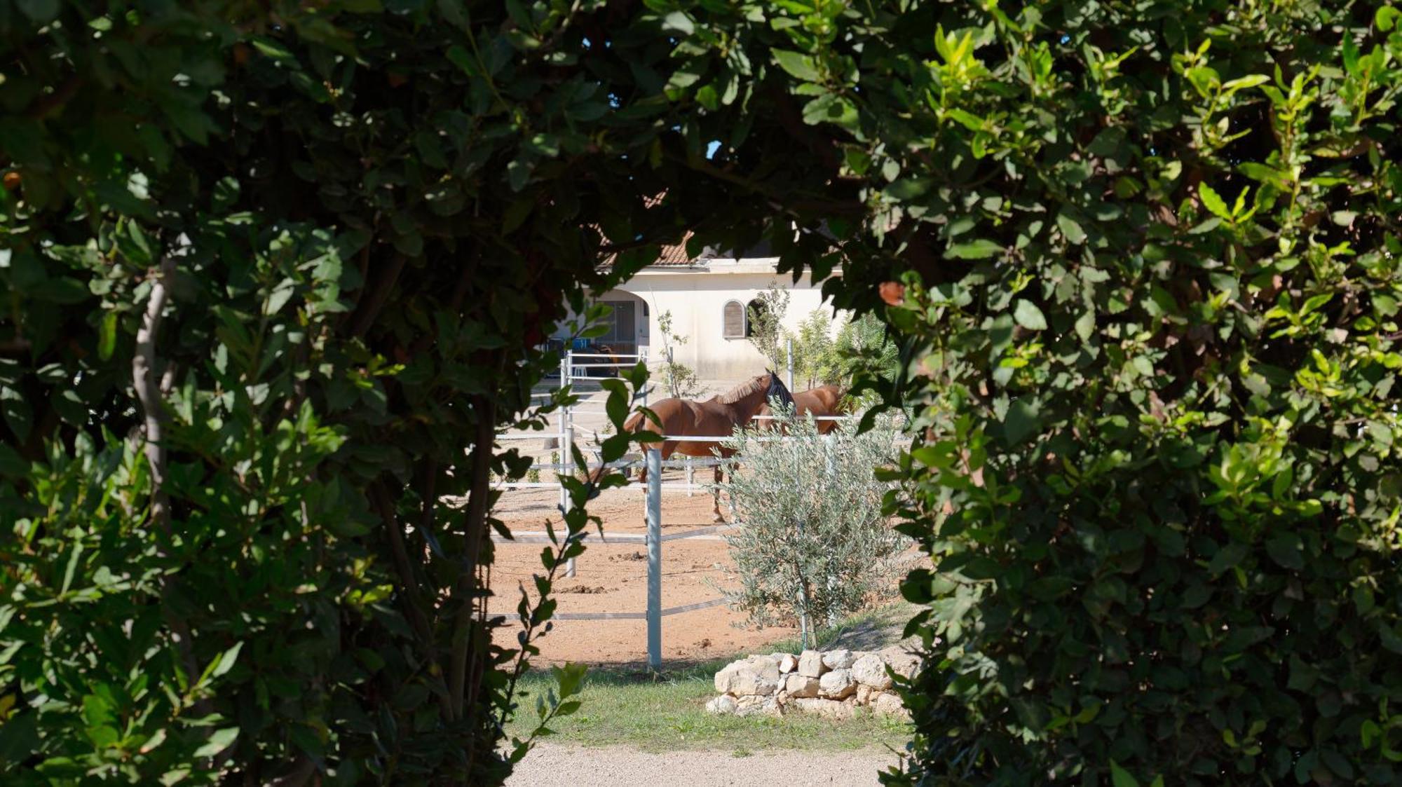 Delle Rose, Hotel & Horse Riding Торре-Вадо Экстерьер фото