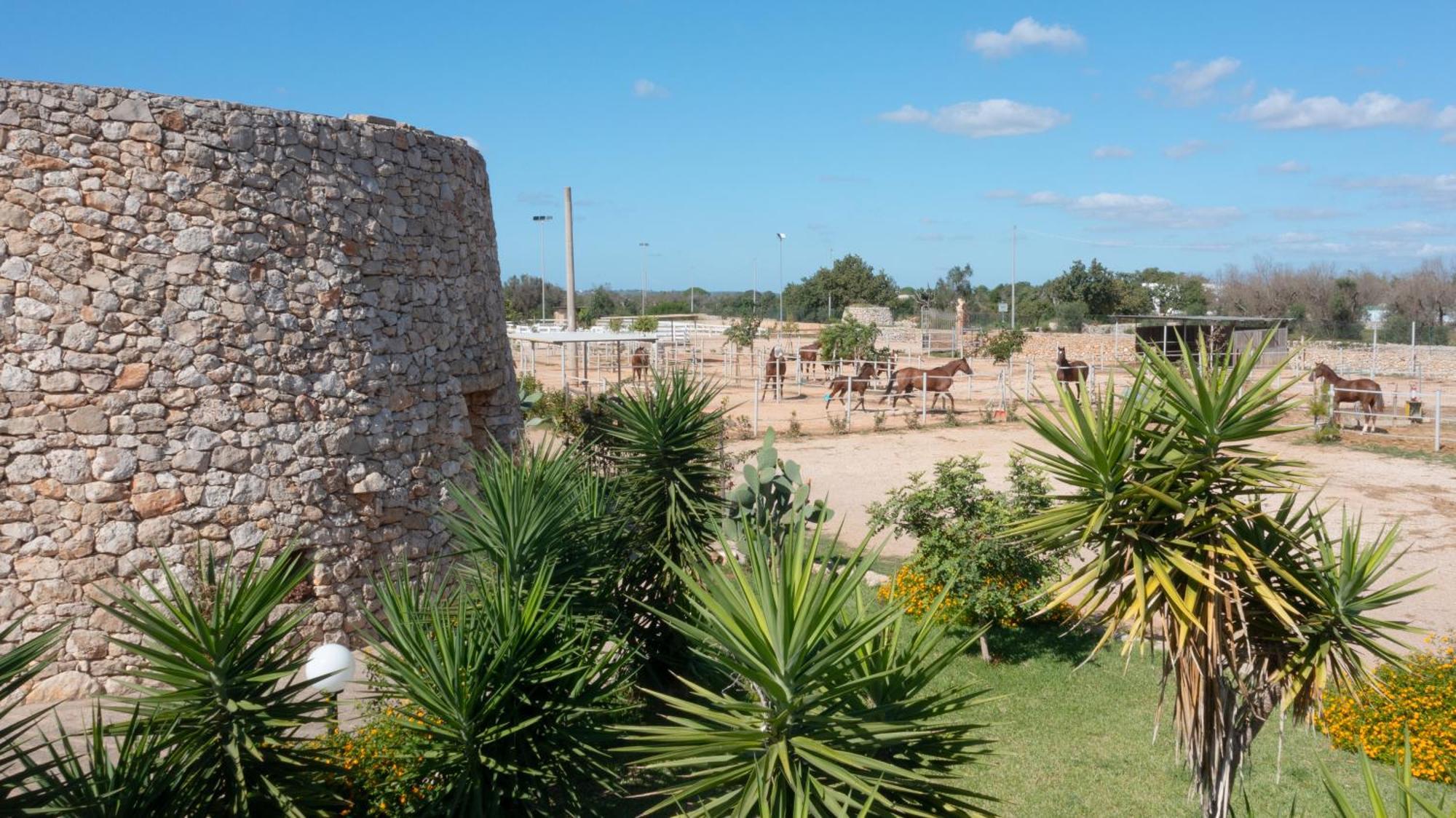 Delle Rose, Hotel & Horse Riding Торре-Вадо Экстерьер фото